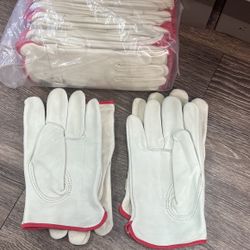 One Dozen Leather Driving Gloves