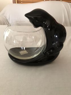 Black Cat looking In Fish Bowl
