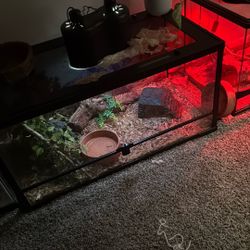 Snake Tanks For Sale 