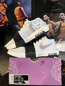 LEBRON witness Vlll