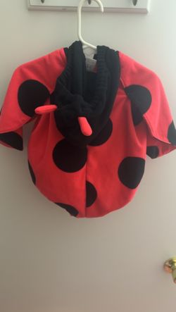 Carters Baby Lady Bug Costume 