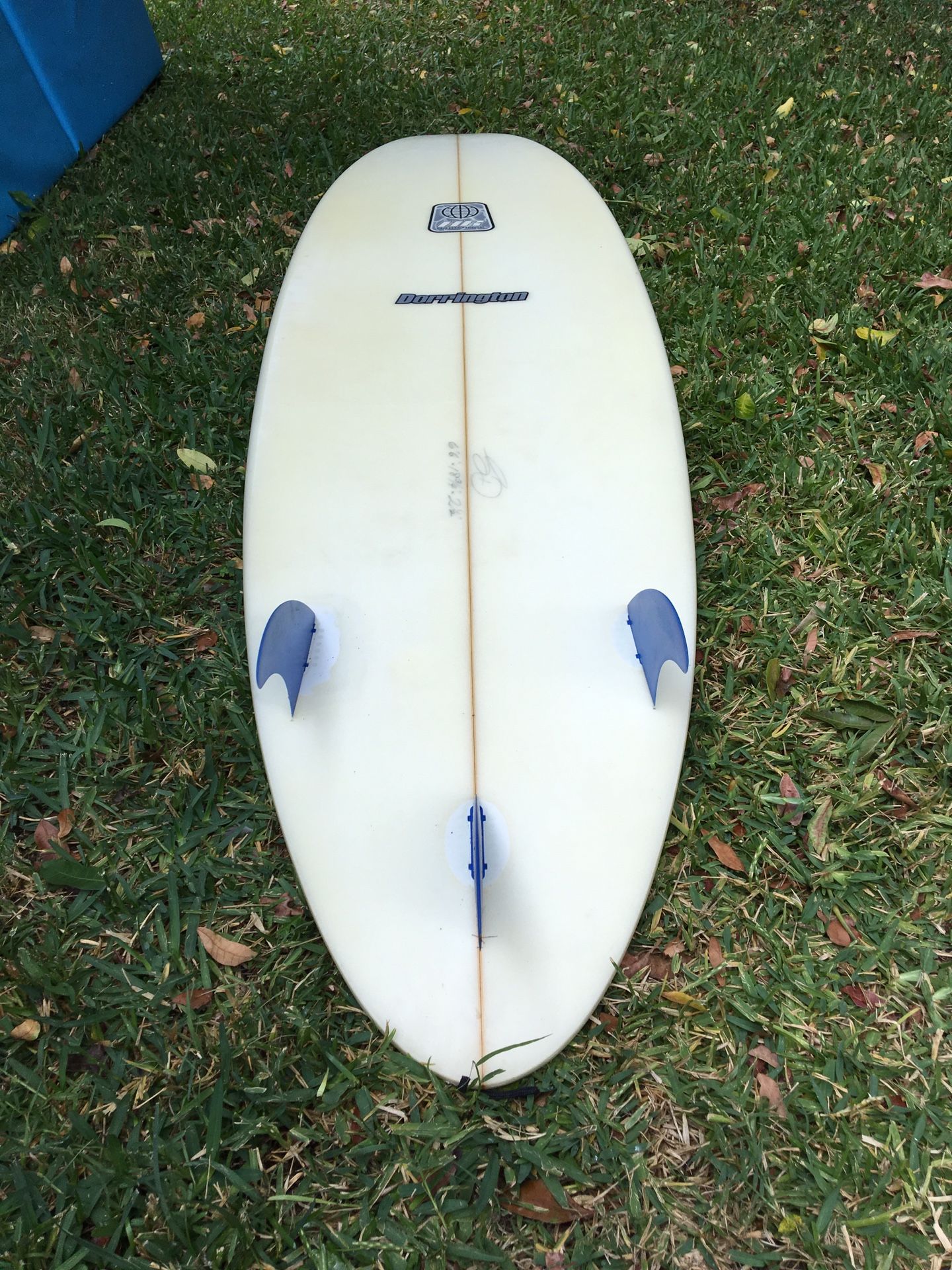 Dorrington surfboards on sale