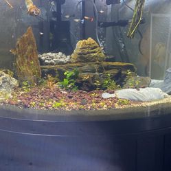 Aquarium Fish Tank