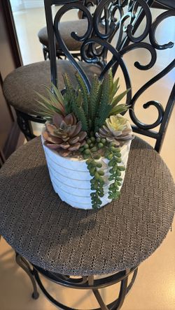 Succulent Decor