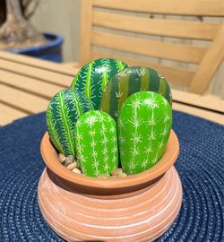 Cactus rock art in pot