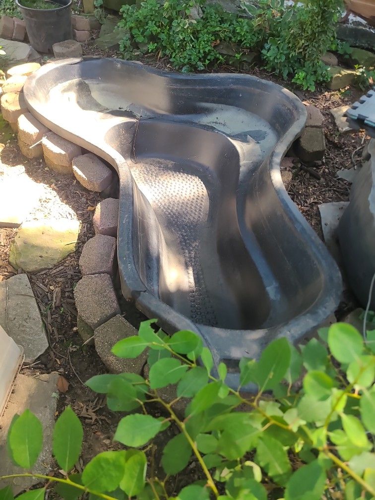 Pond Rubber