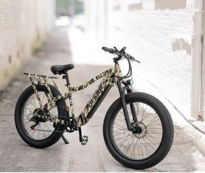 Camouflage E-bike