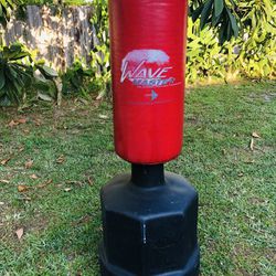 WAVE MASTER the original portable training BAG It's in good condition 