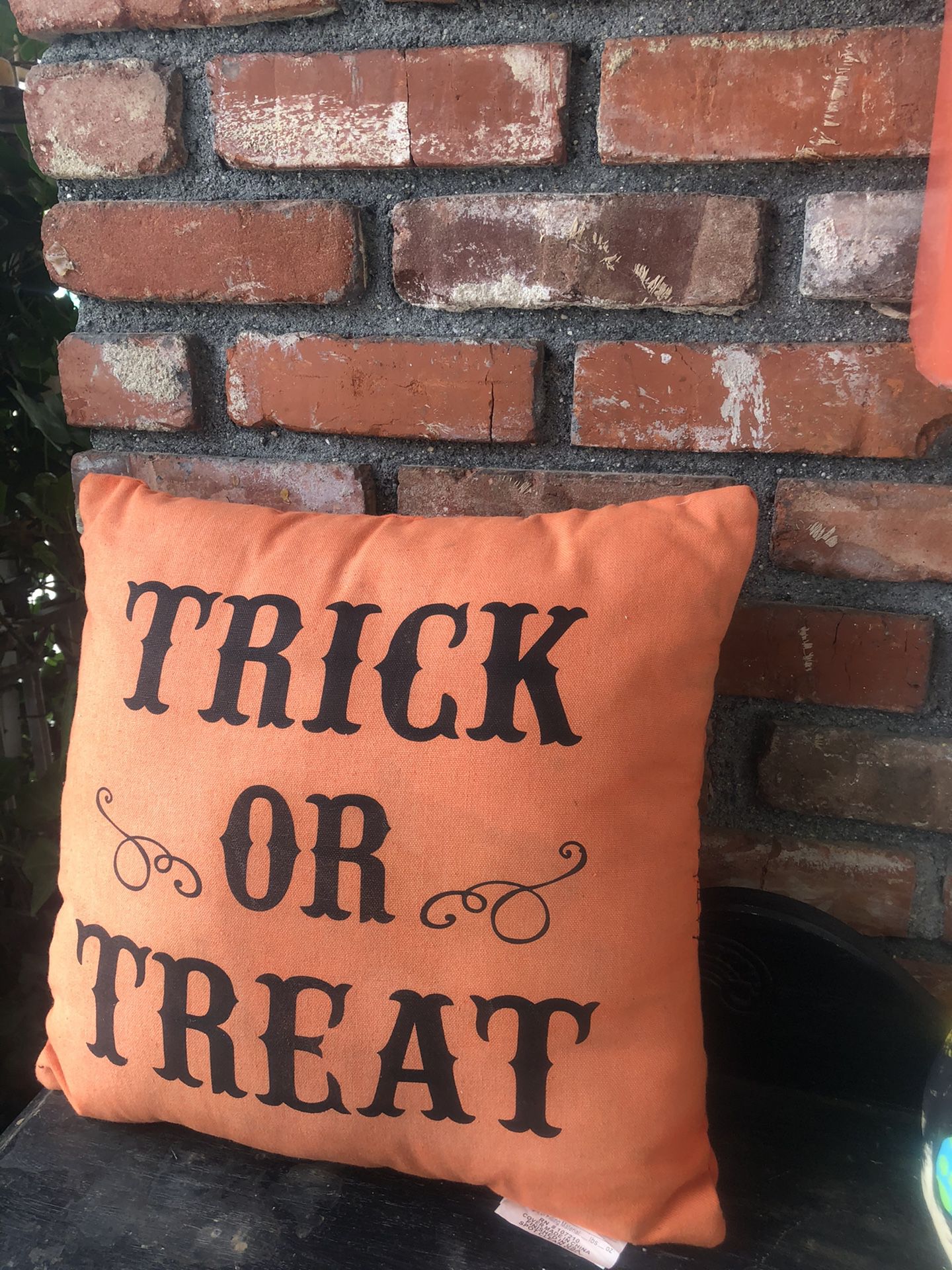 Trick or treat pillow