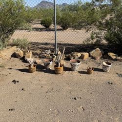 Misc. Pots 