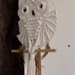 Owl Dreamcatcher Brand New