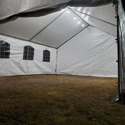 Carpas 