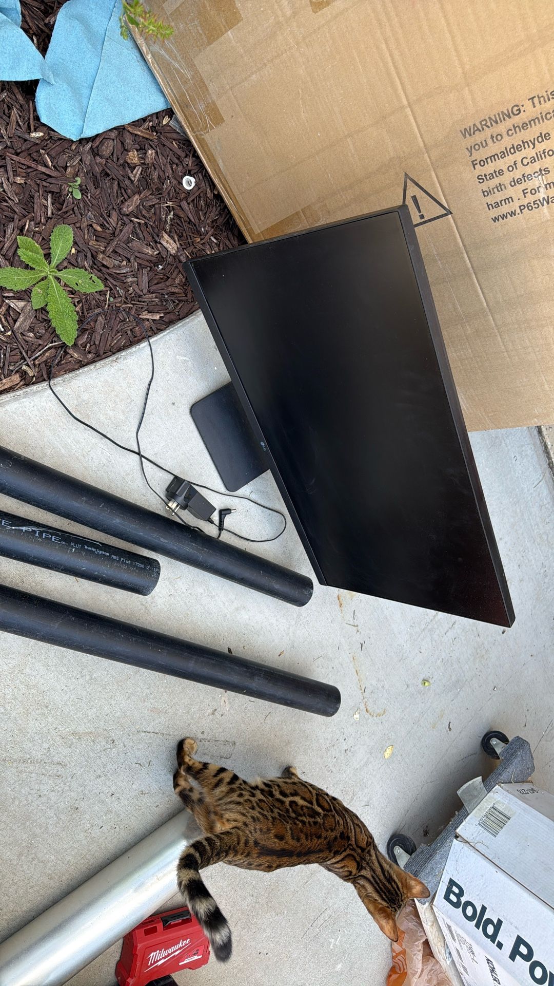 LG Monitor 27