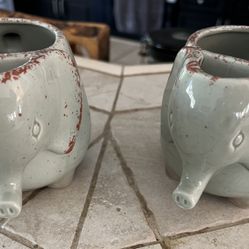 Elephant Tea Cups Set