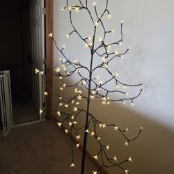 Free Lamp