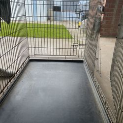 Xtra Large Dog Create With Divider For 2dogs