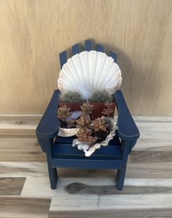 Succulent Plants on Chair 