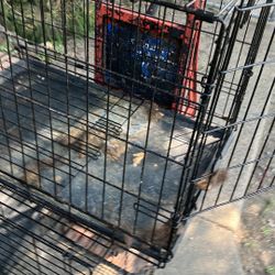 Dog Cage