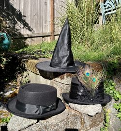 Halloween Hats