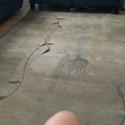 Area Rug Free