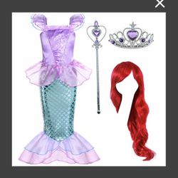 Little Mermaid Costume 