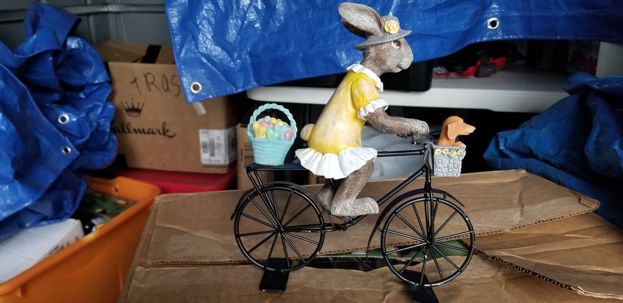 Bunny on bicycle