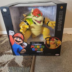 The super Mario bros movie