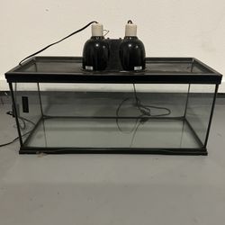 20 Gallon Tank 