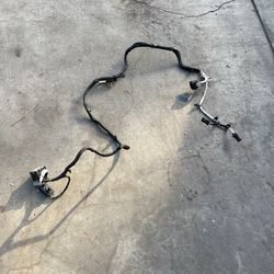 Coyote Transmission Harness