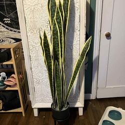 3 Ft Fake Snake Plant And Stand