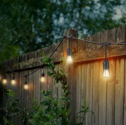 Hampton Bay 24-Light 48 ft. Indoor/Outdoor Plug-In Filament LED S14 Edison Bulb String Light