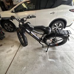 Rad Rover With Hollywood Bike Rack 