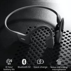 OpenRun Pro Headphones 