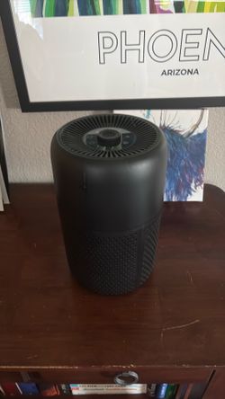 Air purifier with filter