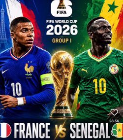 France vs Senegal (World Cup)