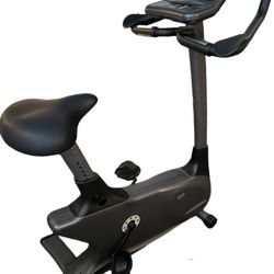 Vision Fitness E3200 Upright Exercise Bike