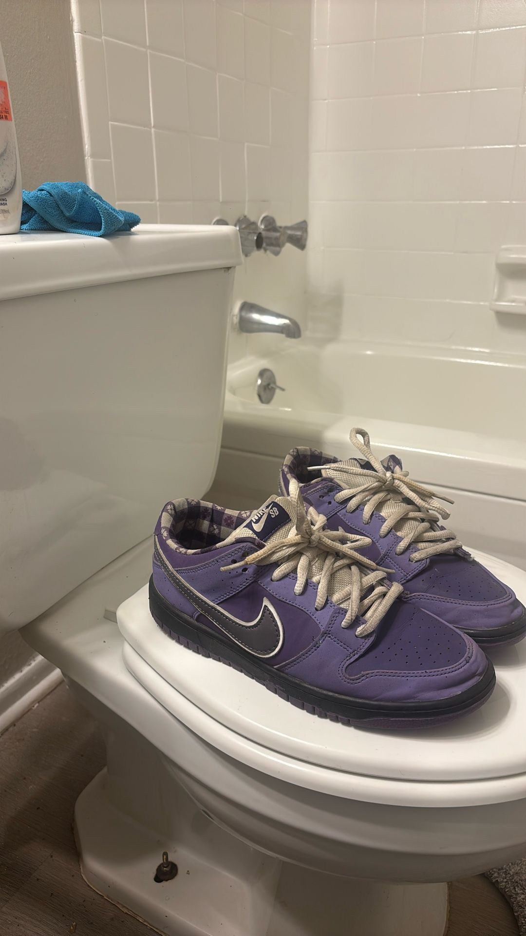 Purple Lobster Dunk