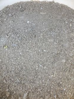 Chicken Manure Fertilizer