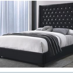 Furniture, queen bed