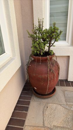 Out door planters , moving sale