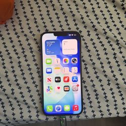 IPhone 13 Pro Max ( READ DESCRIPTION!!!!!)