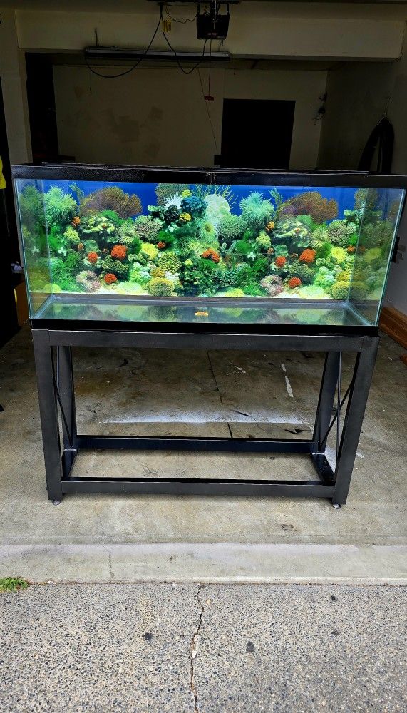 Fish Tank 55 Gallon, Stand Aquarium