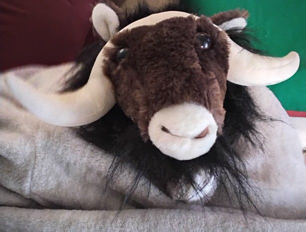 NNWT orthern Trek Plush Alaskan Musk Ox 20" Long