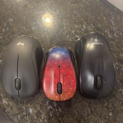 Computer Mouse