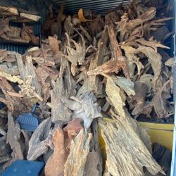 Assorted Natural Driftwood, Spiderwood Aquarium Tank/ Reptiles/Hardscape $8/lb