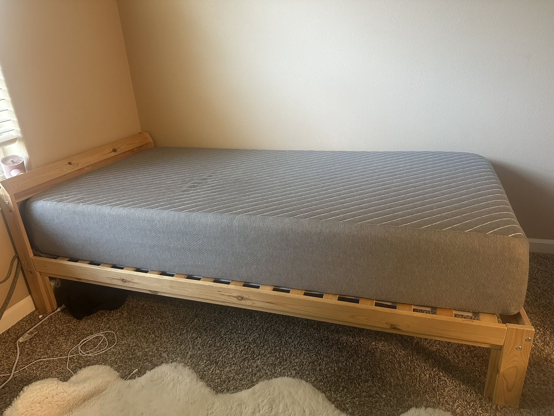 Twin Bed and Mattress