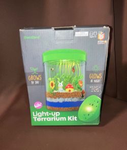 Light up terrarium kit for kids