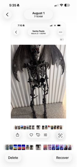 Large Halloween Skeleton Demon with Wings