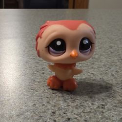 Littlest Pet Shop Owl