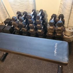 Dumbbells Weights Rubber Hex 